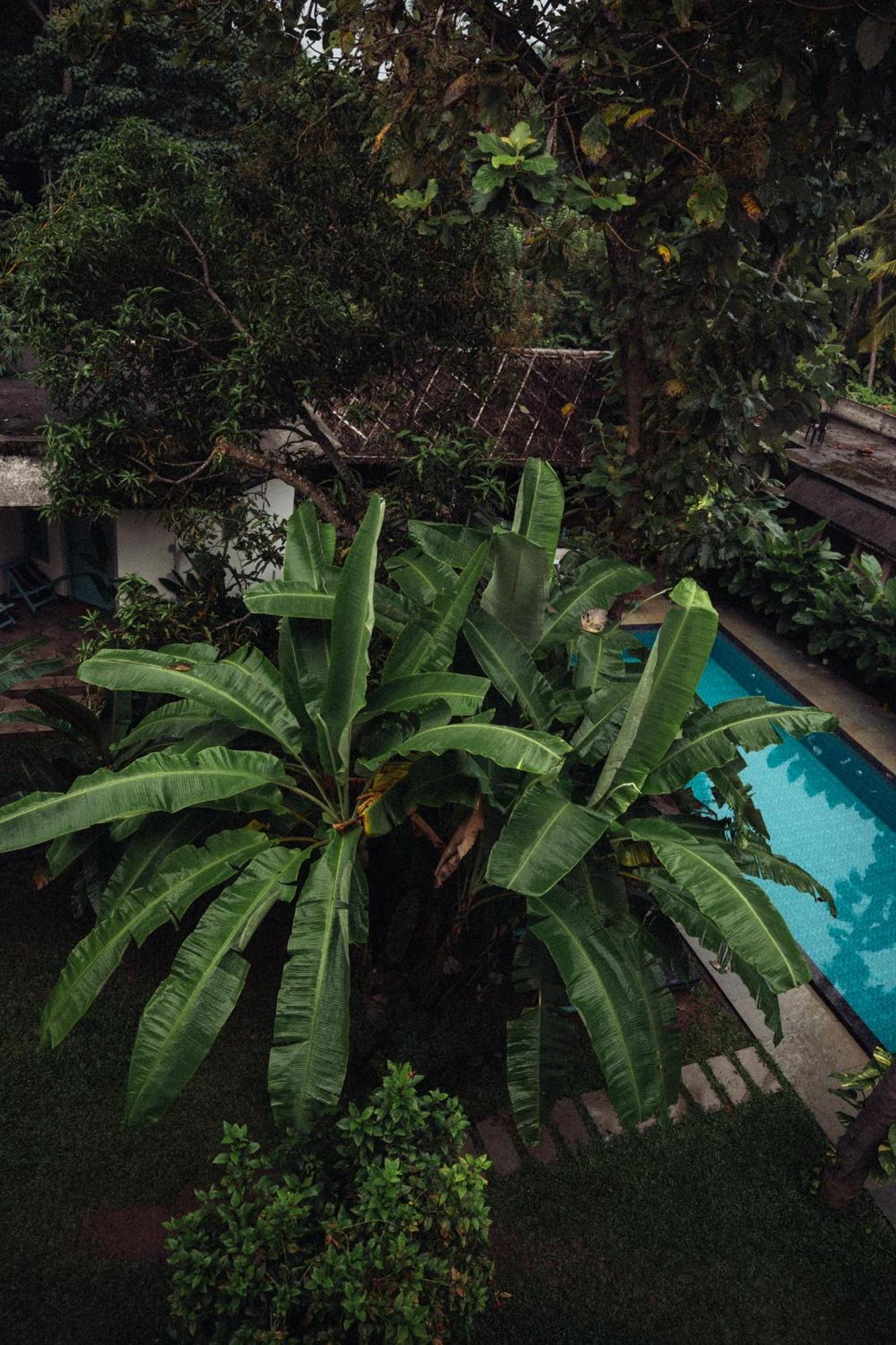 مبيت وإفطار فاركَالا Paddlecult Surf Retreat المظهر الخارجي الصورة